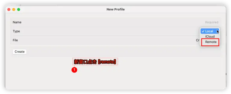 Mac电脑科学上网工具推荐:Sing-box配置全流程 10 remote