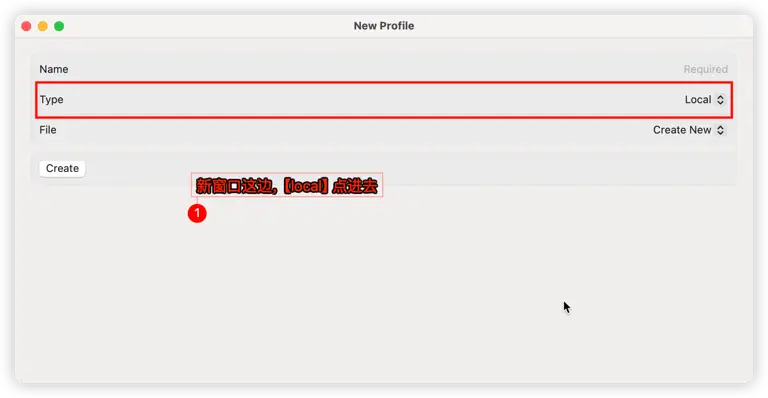 Mac电脑科学上网工具推荐:Sing-box配置全流程 9 type
